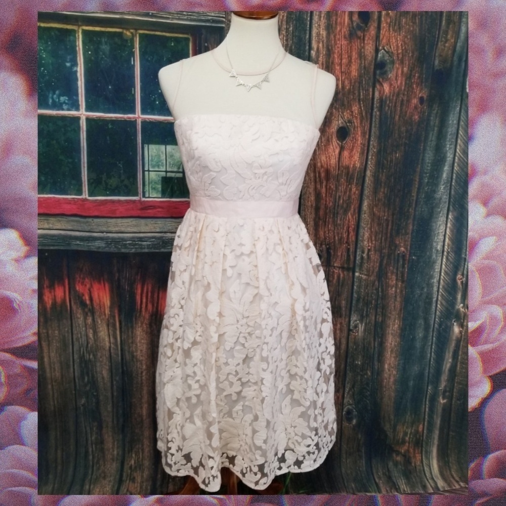 Maggie London Blush Lace & Mesh Midi